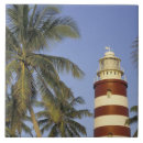 Search for abaco Shore