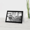 Search for 1904 cards Photography