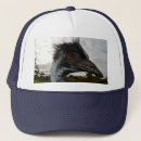Search for curious hats Wildlife