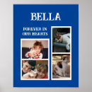 Search for pet memorials Cats