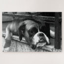 Search for boxer dog puzzles Black