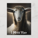Search for ewe postcards Lamb