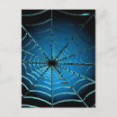 Search for spider web postcards Cobweb