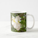 Search for cofee mugs White
