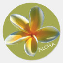 Search for aloha flowers stickers Plumeria
