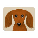 Search for long haired dog magnets Dachshund