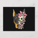 Search for doberman mom postcards Pinscher