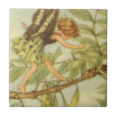 Search for fairy tiles Storybook