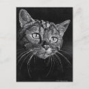 Search for cat face postcards White