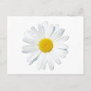 Search for single flower postcards Nature