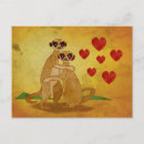 Search for suricates postcards Meerkat