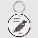 Search for common round key rings Nature
