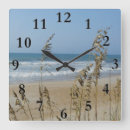 Search for sea oat art Beach