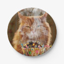 Search for funny birthday plates Humor
