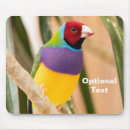 Search for parakeet electronics Pet