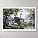 Search for vintage animal illustration posters Animals