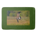 Search for seagull bathroom accessories Shore