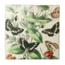 Search for butterfly tiles Flowers