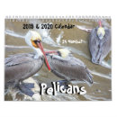 Search for pelican calendars Wildlife
