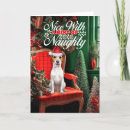 Search for jack russell terrier christmas cards Pets