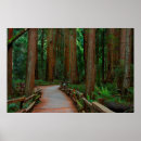 Search for muir woods art Park