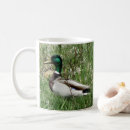 Search for mallard duck mugs Ducks