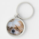 Search for shih tzu key rings Puppy