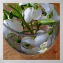 Search for clear glass posters White