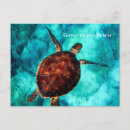Search for large blue postcards Ocean