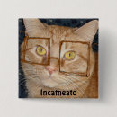 Search for tabby cat badges Humour