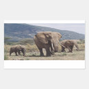 Search for elephant day stickers Animal