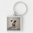 Search for jack russell terrier key rings Vertical