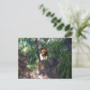 Search for climbing tree postcards Wildlife