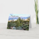 Search for sunset landscape cards Cactus