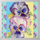 Search for pansy paintings posters For her