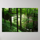 Search for 36 x 24 posters Woods