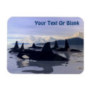 Search for orca magnets Alaska