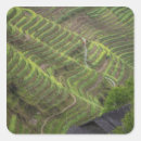 Search for rice field stickers Environment
