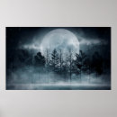 Search for winter night scene posters Forest