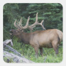 Search for elk antlers stickers Wildlife