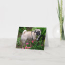 Search for blank birthday cards Puppies