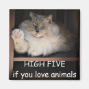Search for adopt home living Adopt don't shop