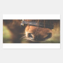 Search for horse picture stickers Equestrian