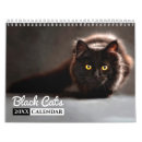 Search for cat calendars Photography