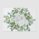 Search for black rose tissue paper White
