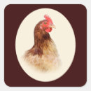 Search for brown hen stickers Chicken