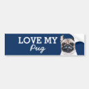 Search for pet pug bumper stickers Pets