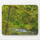 Search for mossy mousepads Forest