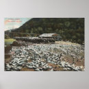 Search for angel farms posters Lantern