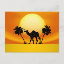 Search for camel postcards Landscape